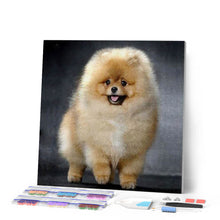 Carica l'immagine nel visualizzatore di Gallery, Diamond Painting - Chow Chow