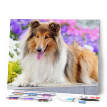 Carica l'immagine nel visualizzatore di Gallery, Diamond Painting - Collie