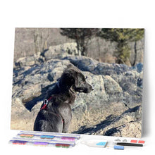 Carica l'immagine nel visualizzatore di Gallery, Diamond Painting - Cane Rock