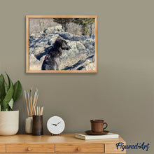 Carica l'immagine nel visualizzatore di Gallery, Diamond Painting - Cane Rock