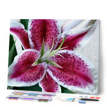 Carica l'immagine nel visualizzatore di Gallery, Diamond Painting - Giglio Rosso