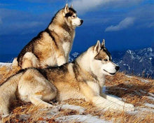 Carica l'immagine nel visualizzatore di Gallery, Diamond Painting - Husky