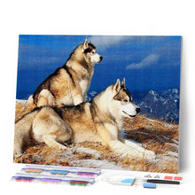 Carica l'immagine nel visualizzatore di Gallery, Diamond Painting - Husky