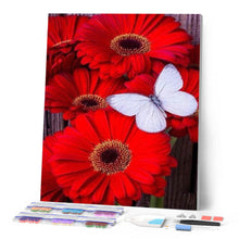 Carica l'immagine nel visualizzatore di Gallery, Diamond Painting - Margherite Rosse E Farfalla Bianca