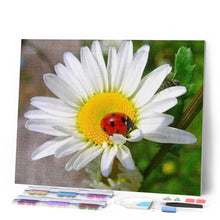 Carica l'immagine nel visualizzatore di Gallery, Diamond Painting - Coccinella E Margherite