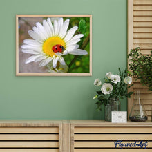 Carica l'immagine nel visualizzatore di Gallery, Diamond Painting - Coccinella E Margherite