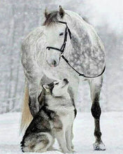 Carica l'immagine nel visualizzatore di Gallery, Diamond Painting - Cavallo E Lupo Nella Neve