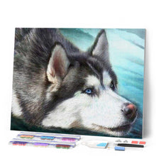 Carica l'immagine nel visualizzatore di Gallery, Diamond Painting - Husky Con Gli Occhi Azzurri