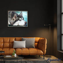 Carica l'immagine nel visualizzatore di Gallery, Diamond Painting - Husky Con Gli Occhi Azzurri