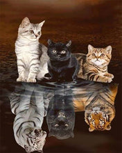 Carica l'immagine nel visualizzatore di Gallery, Diamond Painting - Riflesso Del Gattino