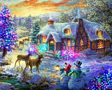 Carica l'immagine nel visualizzatore di Gallery, Diamond Painting - Cervo Vicino Alla Casa