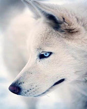 Carica l'immagine nel visualizzatore di Gallery, Diamond Painting - Ritratto Di Husky