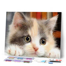 Carica l'immagine nel visualizzatore di Gallery, Diamond Painting - Piccolo Gatto Curioso