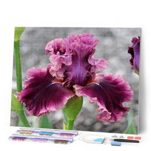 Carica l'immagine nel visualizzatore di Gallery, Diamond Painting - Fiore Di Iris