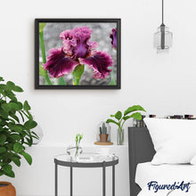 Carica l'immagine nel visualizzatore di Gallery, Diamond Painting - Fiore Di Iris