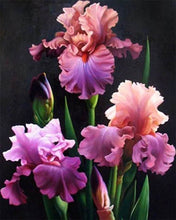 Carica l'immagine nel visualizzatore di Gallery, Diamond Painting - Iris In Fiore