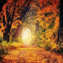 Carica l'immagine nel visualizzatore di Gallery, Diamond Painting - Una Passeggiata Nella Foresta