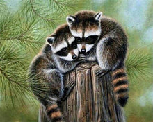 Carica l'immagine nel visualizzatore di Gallery, Diamond Painting - Procione Appollaiato