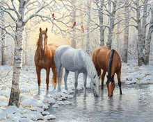 Carica l'immagine nel visualizzatore di Gallery, Diamond Painting - Tre Cavalli Nella Foresta Innevata