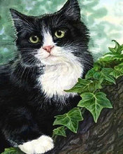 Carica l'immagine nel visualizzatore di Gallery, Diamond Painting - Gatto Sul Ramo