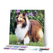 Carica l'immagine nel visualizzatore di Gallery, Diamond Painting - Collie In Giardino