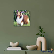 Carica l'immagine nel visualizzatore di Gallery, Diamond Painting - Collie In Giardino