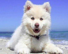 Carica l'immagine nel visualizzatore di Gallery, Diamond Painting - Cane Sulla Spiaggia