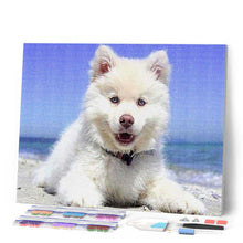 Carica l'immagine nel visualizzatore di Gallery, Diamond Painting - Cane Sulla Spiaggia