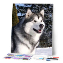 Carica l'immagine nel visualizzatore di Gallery, Diamond Painting - Husky In Inverno