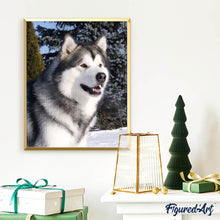 Carica l'immagine nel visualizzatore di Gallery, Diamond Painting - Husky In Inverno