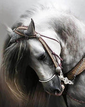 Carica l'immagine nel visualizzatore di Gallery, Diamond Painting - Grande Cavallo