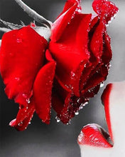 Carica l'immagine nel visualizzatore di Gallery, Diamond Painting - Rosa Rossa E Labbra