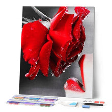 Carica l'immagine nel visualizzatore di Gallery, Diamond Painting - Rosa Rossa E Labbra