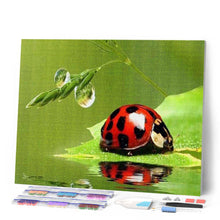 Carica l'immagine nel visualizzatore di Gallery, Diamond Painting - Scarabeo