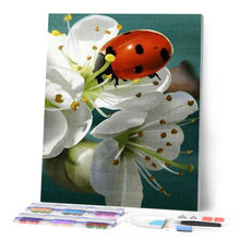 Carica l'immagine nel visualizzatore di Gallery, Diamond Painting - Coccinella E Fiori
