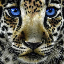 Carica l'immagine nel visualizzatore di Gallery, Diamond Painting - Leopardo Con Gli Occhi Azzurri