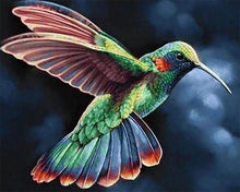 Carica l'immagine nel visualizzatore di Gallery, Diamond Painting - Colibrì Nella Notte