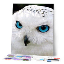 Carica l'immagine nel visualizzatore di Gallery, Diamond Painting - Gufo Con Gli Occhi Azzurri