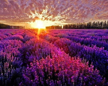 Carica l'immagine nel visualizzatore di Gallery, Diamond Painting - Campo di Lavanda