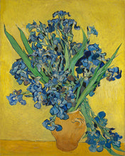 Carica l'immagine nel visualizzatore di Gallery, Diamond Painting - Vaso con iris - Van Gogh