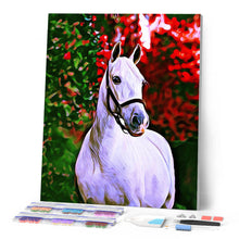 Carica l'immagine nel visualizzatore di Gallery, Diamond Painting - Cavallo su sfondo colorato