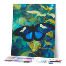 Carica l'immagine nel visualizzatore di Gallery, Diamond Painting - Farfalla Blu e Bianca