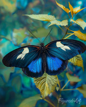 Carica l'immagine nel visualizzatore di Gallery, Diamond Painting - Farfalla Blu e Bianca