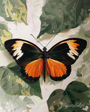 Carica l'immagine nel visualizzatore di Gallery, Diamond Painting - Vanessa atalanta