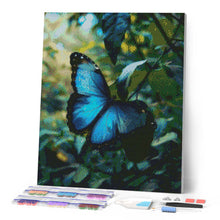 Carica l'immagine nel visualizzatore di Gallery, Diamond Painting - Farfalla Morpho Blu