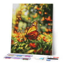 Carica l'immagine nel visualizzatore di Gallery, Diamond Painting - Farfalla nel Prato