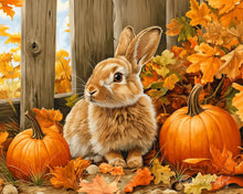Carica l'immagine nel visualizzatore di Gallery, Diamond Painting - Coniglio e zucche