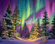 Carica l&#39;immagine nel visualizzatore di Gallery, Diamond Painting - Foresta sotto l’Aurora