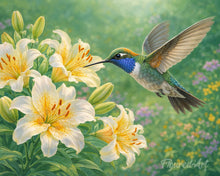 Carica l'immagine nel visualizzatore di Gallery, Diamond Painting - Colibrì tra i fiori