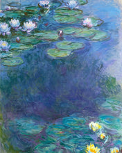 Carica l'immagine nel visualizzatore di Gallery, Diamond Painting - Ninfee 1914-1917, Monet